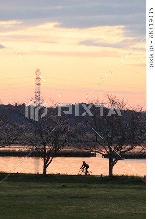 小美玉市大井戸湖岸公園から望む風景 88319035