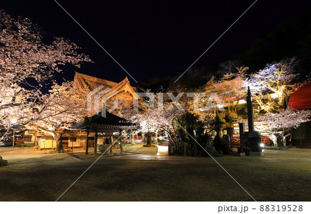 夜桜 紀三井寺 夜桜 紀三井寺 88319528
