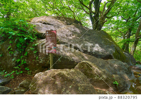 茨城の筑波山 縁結びパワースポットせきれい石 88320795
