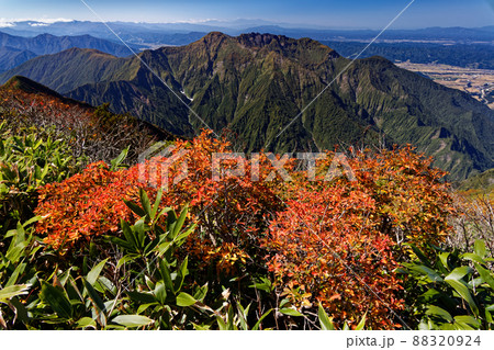 紅葉の越後駒ヶ岳稜線から見る八海山と魚沼平野 88320924