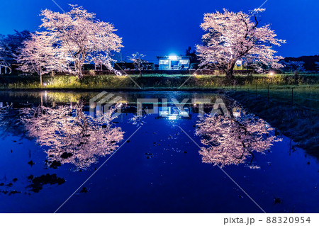 桜のある風景　小湊鉄道　飯給駅の桜ライトアップ 88320954