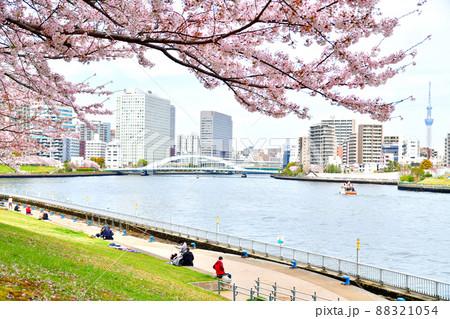 石川島公園より永代橋方面を望む(東京都中央区)【2022.4】 88321054