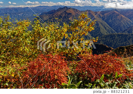 越後駒ヶ岳稜線の紅葉と荒沢岳の眺め 越後駒ヶ岳稜線の紅葉と荒沢岳の眺め 88321231