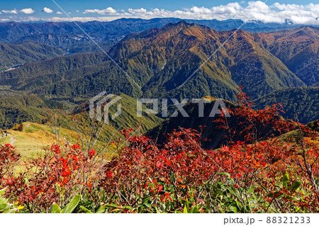 越後駒ヶ岳稜線のナナカマドの紅葉と荒沢岳の眺め 88321233