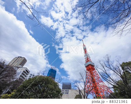 公園から見た東京タワー 公園から見た東京タワー 88321361