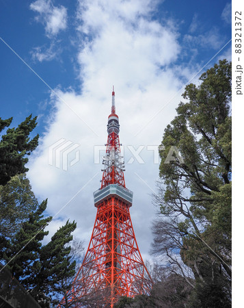 芝公園から見た東京タワー 88321372