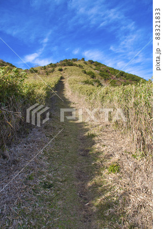 【箱根】湖尻峠から黒岳に向かう登山道 【箱根】湖尻峠から黒岳に向かう登山道 88321833