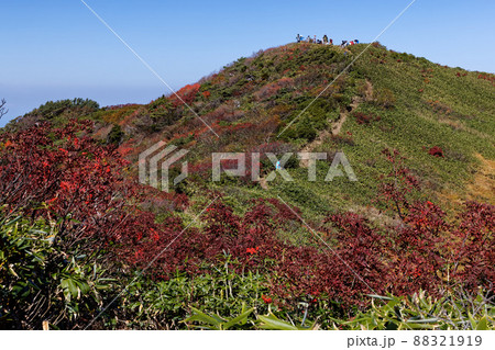 紅葉の登山道から見る越後駒ヶ岳山頂 紅葉の登山道から見る越後駒ヶ岳山頂 88321919