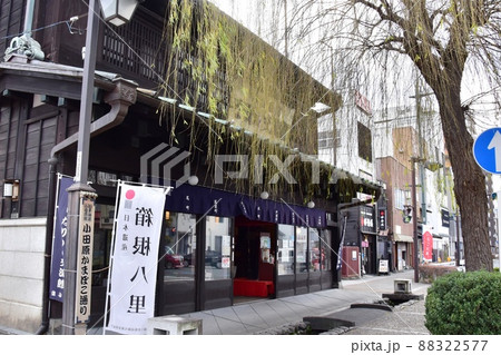 小田原市　小田原宿なりわい交流館と柳の木 88322577