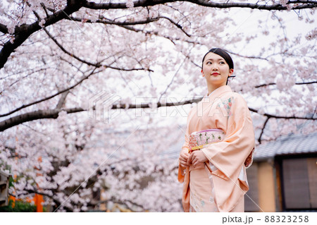 着物の女性と桜　京都 88323258