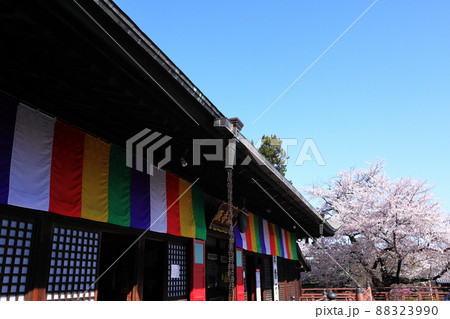 日本・埼玉の春 日本・埼玉の春 88323990