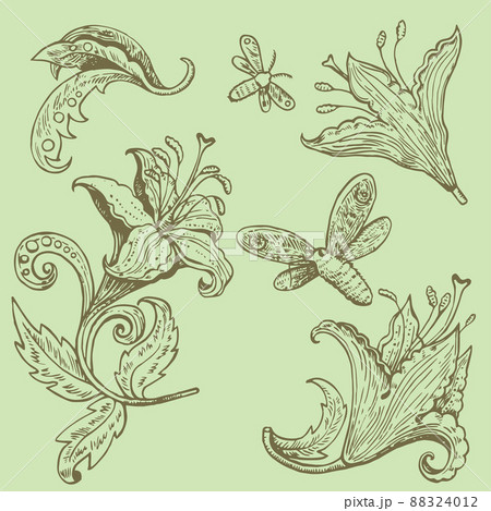 Vintage ink drawn lily flowers and butterflies. Retro decoration elements. Vintage ink drawn lily flowers and butterflies. Retro decoration elements. 88324012