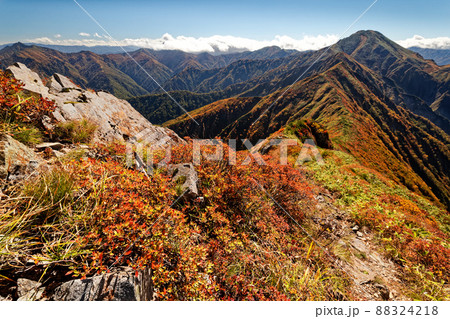 紅葉の越後駒ヶ岳稜線から見る中ノ岳 88324218