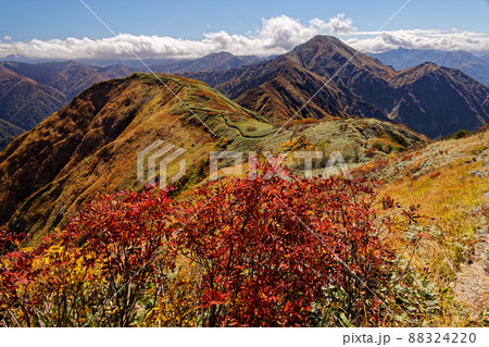 越後駒ヶ岳稜線の紅葉と中ノ岳の眺め 88324220