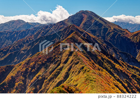 越後駒ヶ岳稜線から見る紅葉の中ノ岳 越後駒ヶ岳稜線から見る紅葉の中ノ岳 88324222