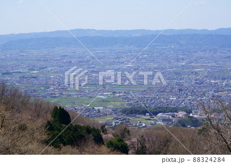 桜満開宣言の日の高円山ドライブウエイ 88324284