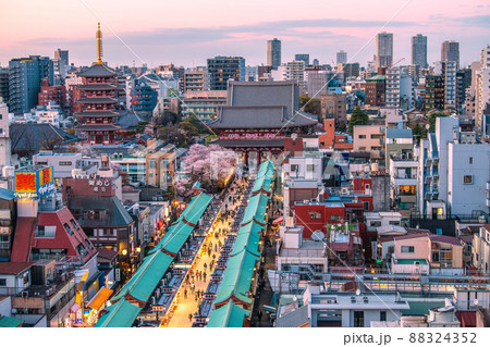 日本の東京都市景観 4月1日・桜が満開となり賑わう浅草寺などを望む＝1日 88324352