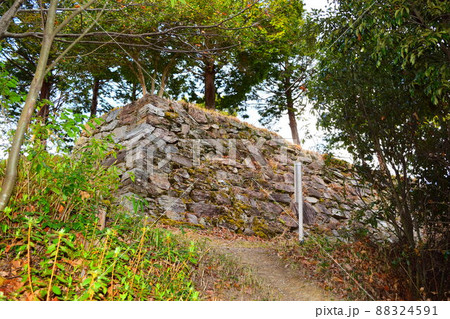 一宮城　続日本100名城 88324591