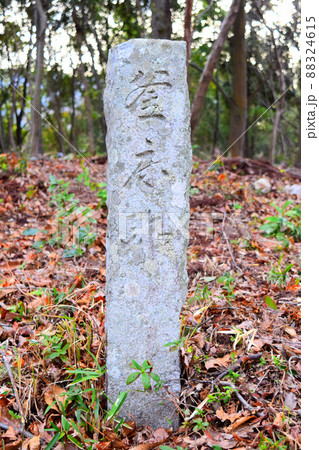 一宮城　続日本100名城 88324615
