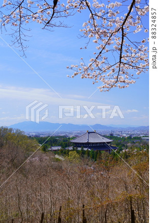 桜満開宣言の日の東大寺と興福寺五重塔 88324857