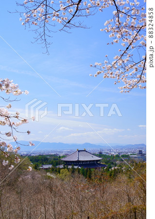 桜満開宣言の日の東大寺と興福寺五重塔 桜満開宣言の日の東大寺と興福寺五重塔 88324858