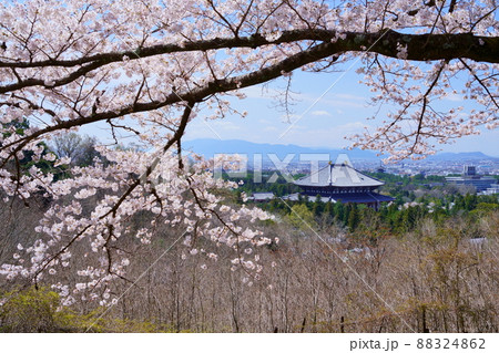 桜満開宣言の日の東大寺と興福寺五重塔 桜満開宣言の日の東大寺と興福寺五重塔 88324862