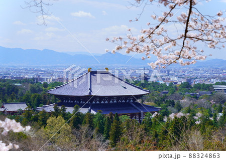 桜満開宣言の日の東大寺と興福寺五重塔 桜満開宣言の日の東大寺と興福寺五重塔 88324863