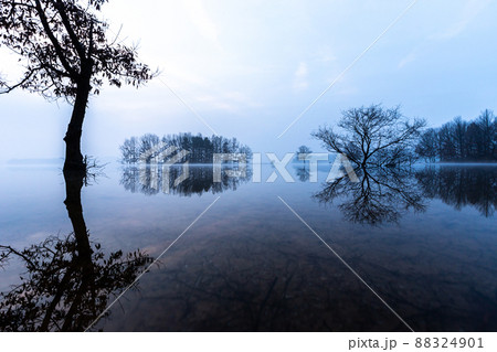 景色 湖 風景 88324901
