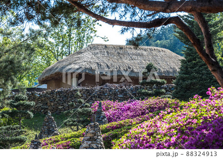 春 花 景色 88324913