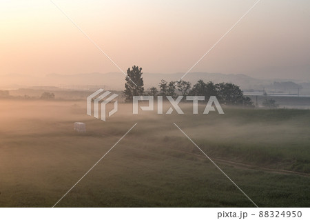 景色 霧 風景 88324950