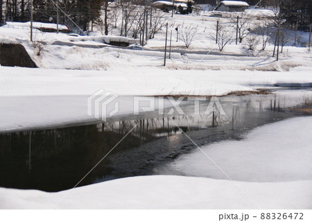 中綱湖へ流れ込む小川 88326472