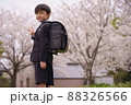 入学 88326566