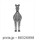 子どもが大好きなシマウマ・Zebra 88326898