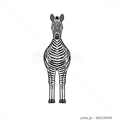 子どもが大好きなシマウマ・Zebra 子どもが大好きなシマウマ・Zebra 88326898