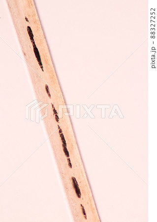 Characteristics of Hair cell of human under microscope view for education in laboratory. Characteristics of Hair cell of human under microscope view for education in laboratory. 88327252