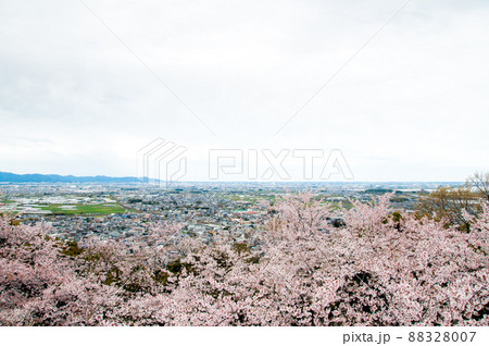 御津山 御津山 88328007