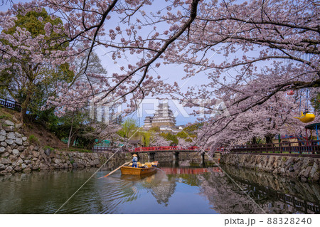 桜満開の姫路城 桜満開の姫路城 88328240
