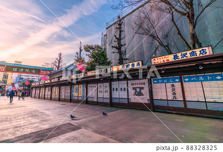 日本の東京都市景観　浅草寺・「伝法院通」（伝法院通り）などを望む＝1日 88328325