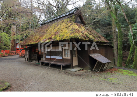 春の奈良公園 水谷茶屋 春の奈良公園 水谷茶屋 88328541