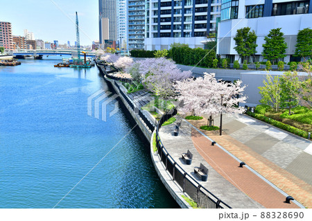 黎明大橋／朝潮運河より黎明橋方面を望む(東京都中央区)【2022.2】 88328690