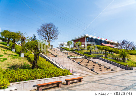 神奈川県　春の津久井湖城山公園 88328743