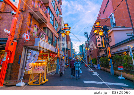 日本の東京都市景観　伝法院通（伝法院通り）から「浅草中央通り」などを望む 88329060