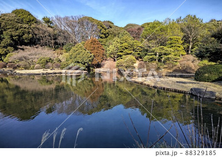 小石川植物園 (東京大学大学院理学系研究科附属植物園) 冬景色 令和4年2月 小石川植物園 (東京大学大学院理学系研究科附属植物園) 冬景色 令和4年2月 88329185