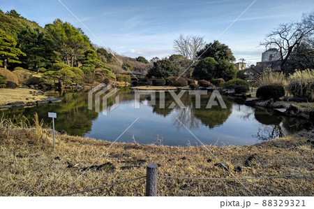 小石川植物園（東京大小石川植物園（東京大学大学院理学系研究科附属植物園）　冬景色　令和4年2月　 88329321