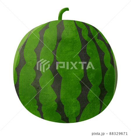 夏 スイカまるごと手描きイラストのイラスト素材 9671