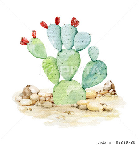 Prickly pear cactus in the desert background. Watercolor illustration. Organic opuntia plant in the sandy landscape. Green cactus desert plant watercolor element Prickly pear cactus in the desert background. Watercolor illustration. Organic opuntia plant in the sandy landscape. Green cactus desert plant watercolor element 88329739