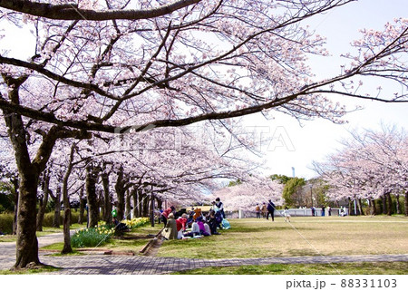 宝野公園 88331103