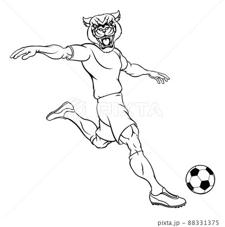 Panther Soccer Football Player Sports Mascot 88331375