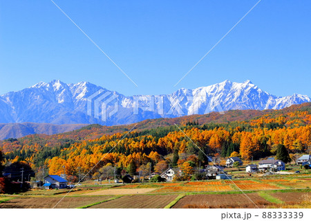 麗しき北アルプス　　：　信州の紅葉　    ：　紅葉の山里 88333339
