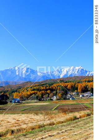 麗しき北アルプス　　：　信州の紅葉　    ：　紅葉の山里 88333346